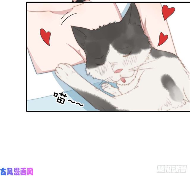 第114话 最会享受的猫-第117话