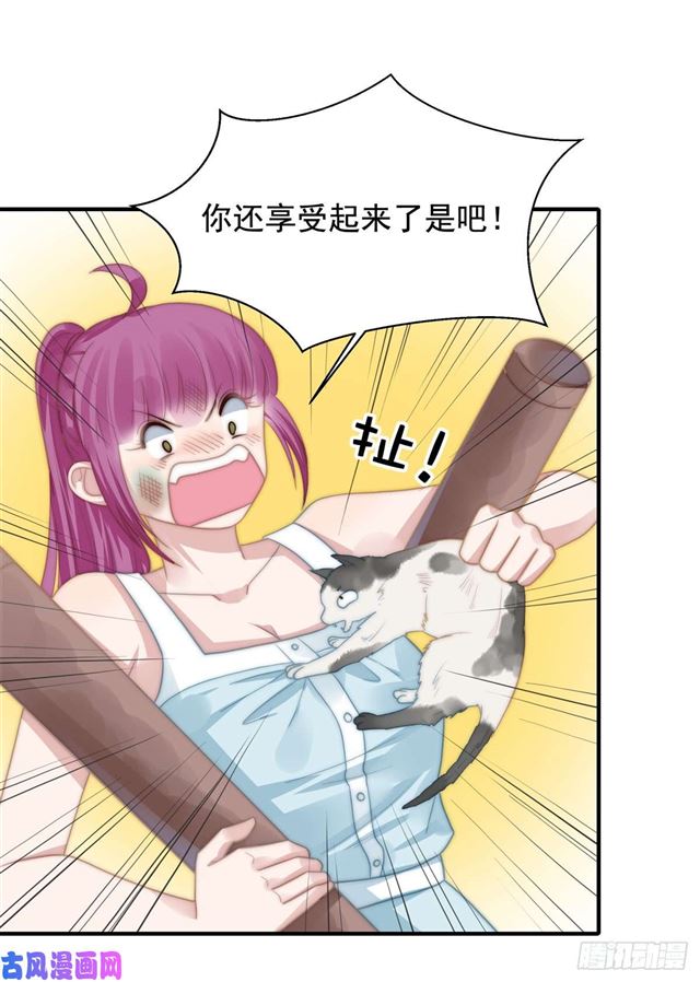 第114话 最会享受的猫-第117话