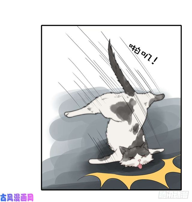 第114话 最会享受的猫-第117话