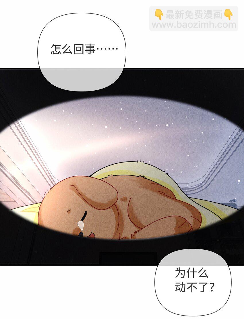 091 你是&hellip;&hellip;哈士奇？-第93话