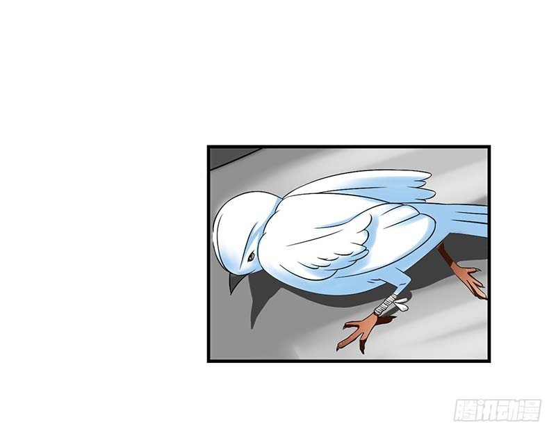 049 电话需要贴身携带-第49话