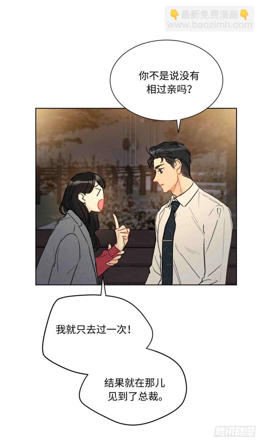 總裁的相親 - 51話-52話(1/2) - 5