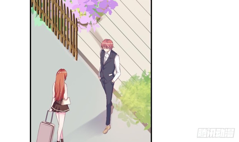 第22话  总裁追妻倒计时(1/2)-第25话