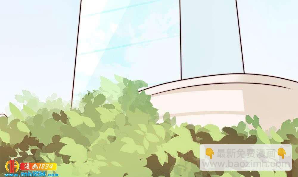 第199话 白子妤妈妈去世(1/2)-第197话