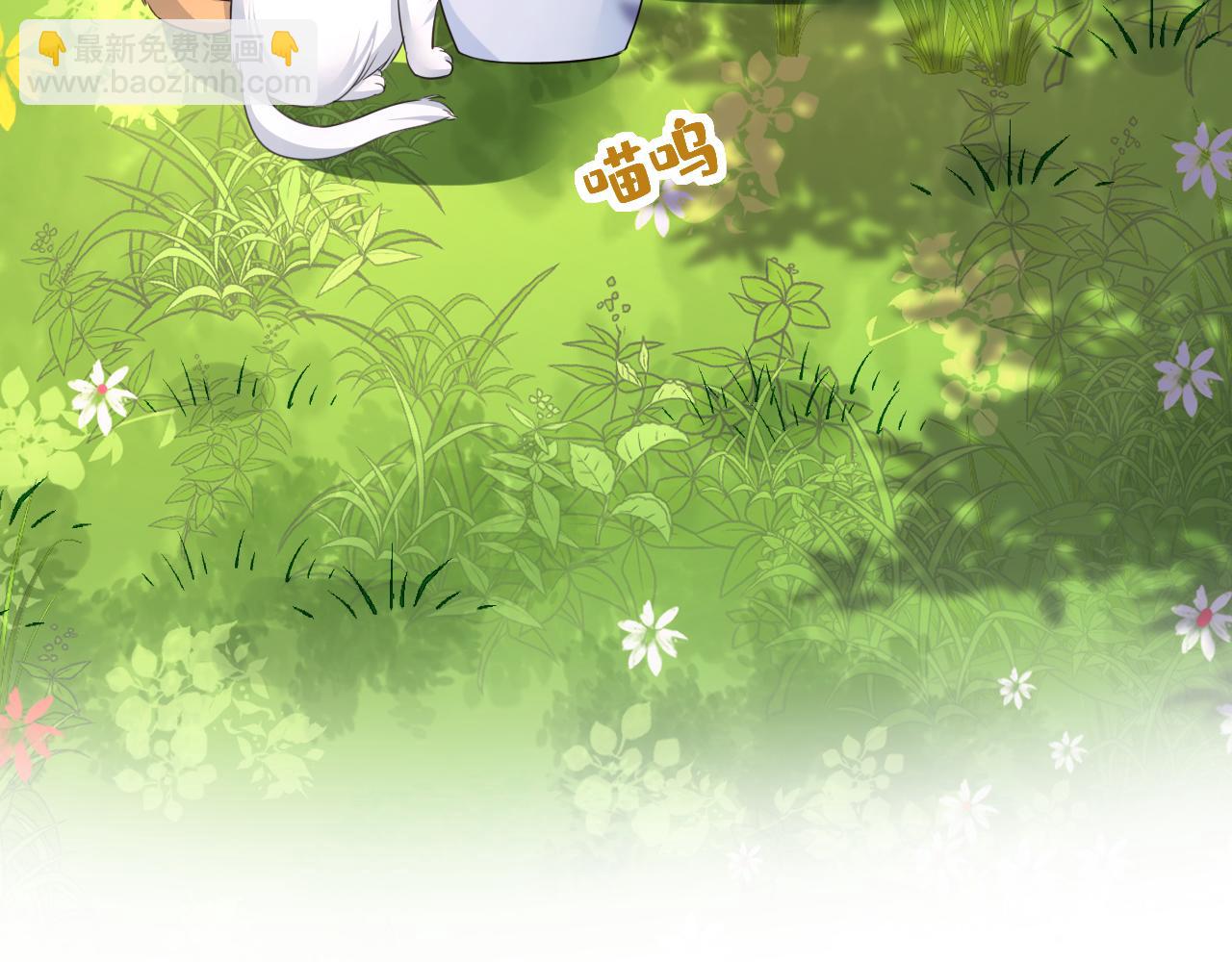 總裁在上 - 第621話 你居然會養貓？(1/3) - 5