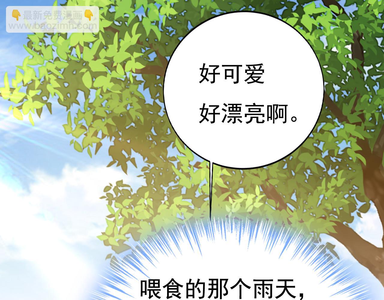 總裁在上 - 第621話 你居然會養貓？(1/3) - 8