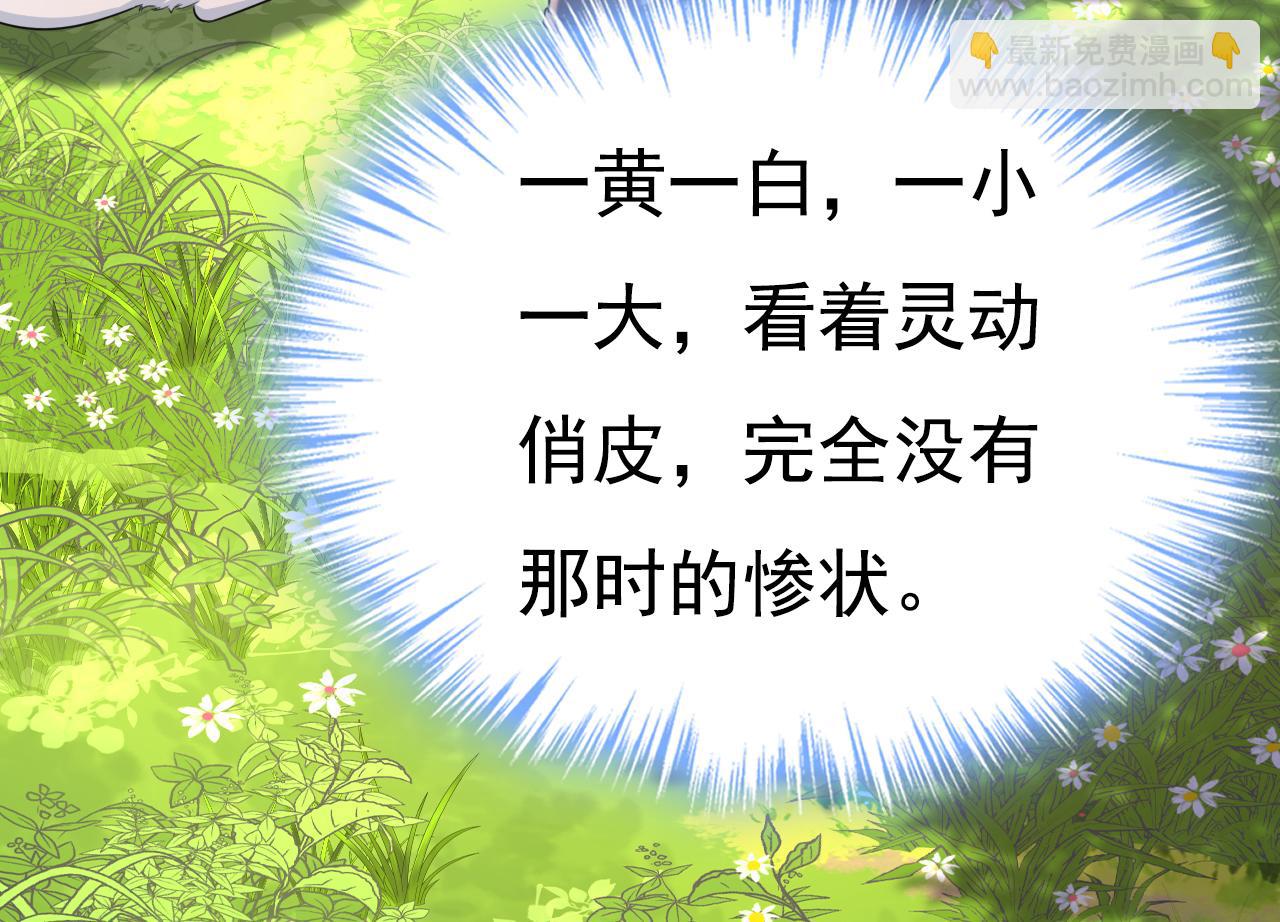 總裁在上 - 第621話 你居然會養貓？(1/3) - 4