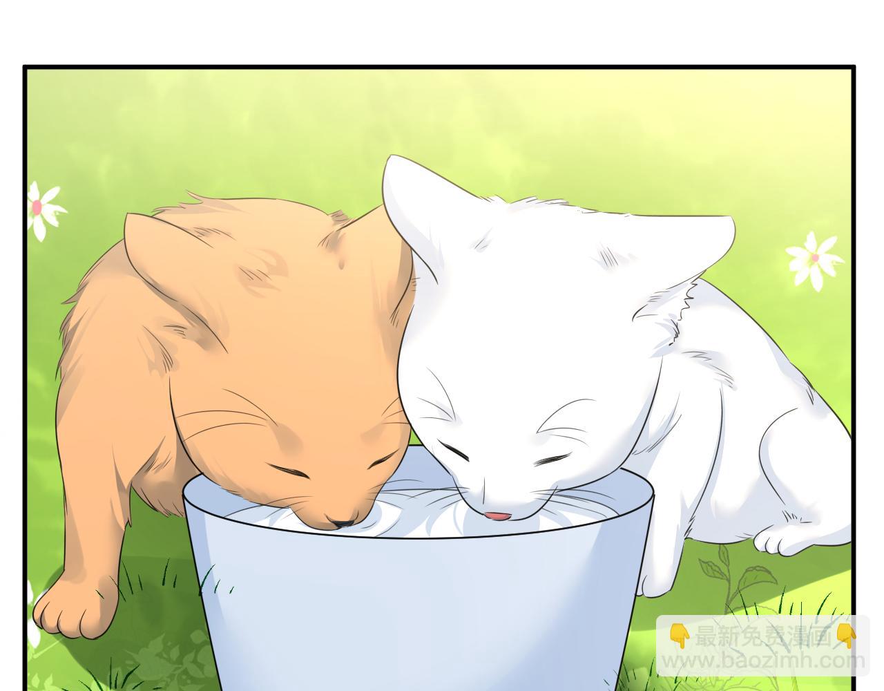 總裁在上 - 第621話 你居然會養貓？(1/3) - 6