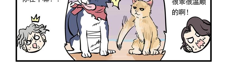 總裁總宅不霸道 - 第10話 傷藥&探病 - 6