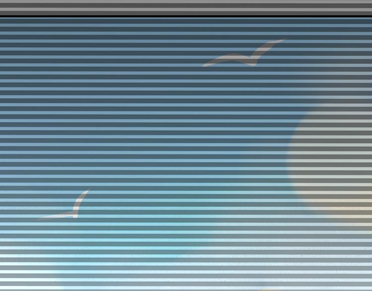 總有刁民想害朕 - 第21話 賣身契瞭解一下(1/3) - 7