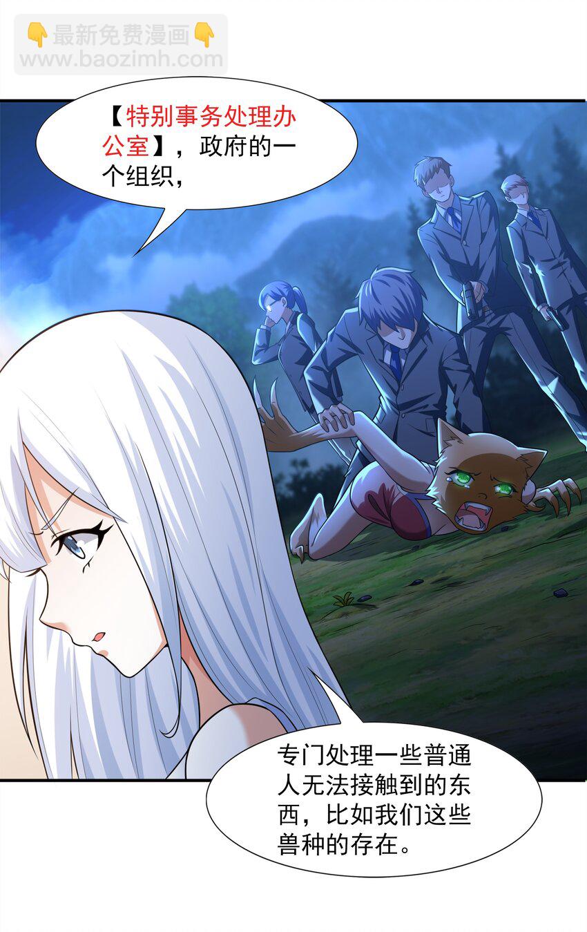 5 不走寻常路的猫(1/2)-第5话