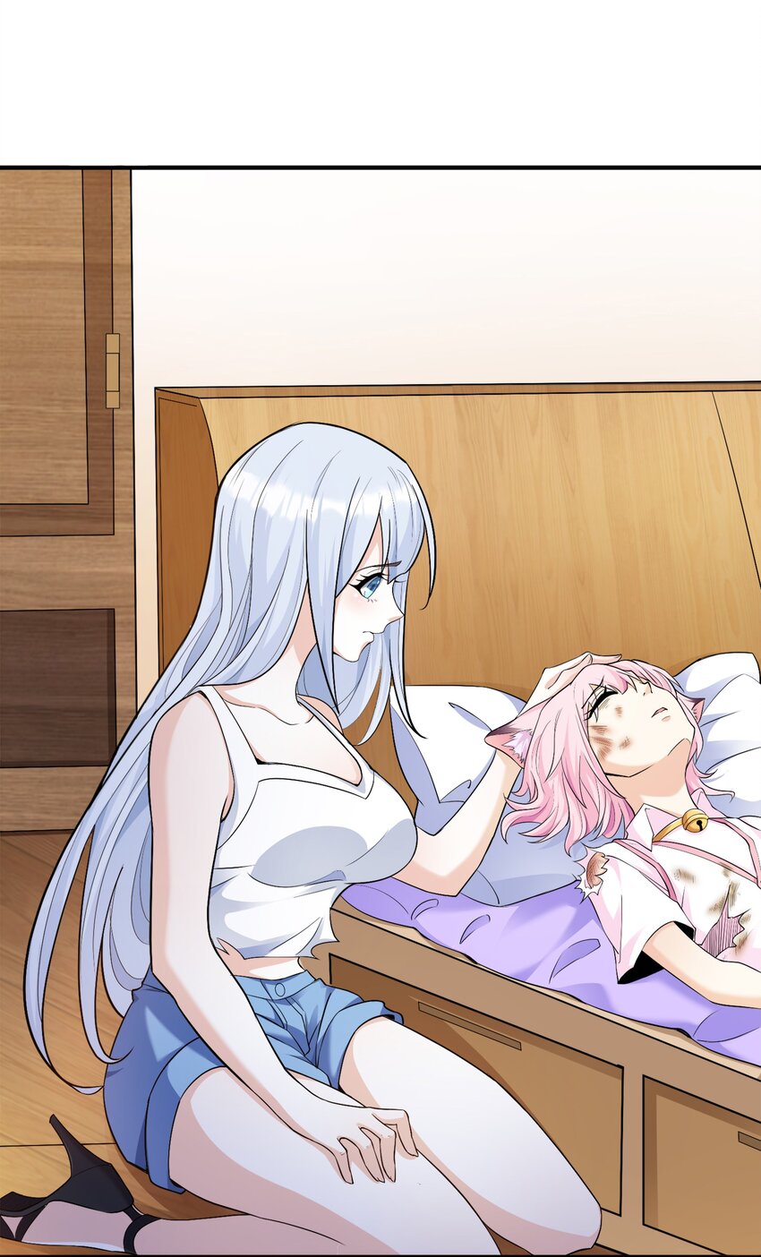 5 不走寻常路的猫(1/2)-第5话