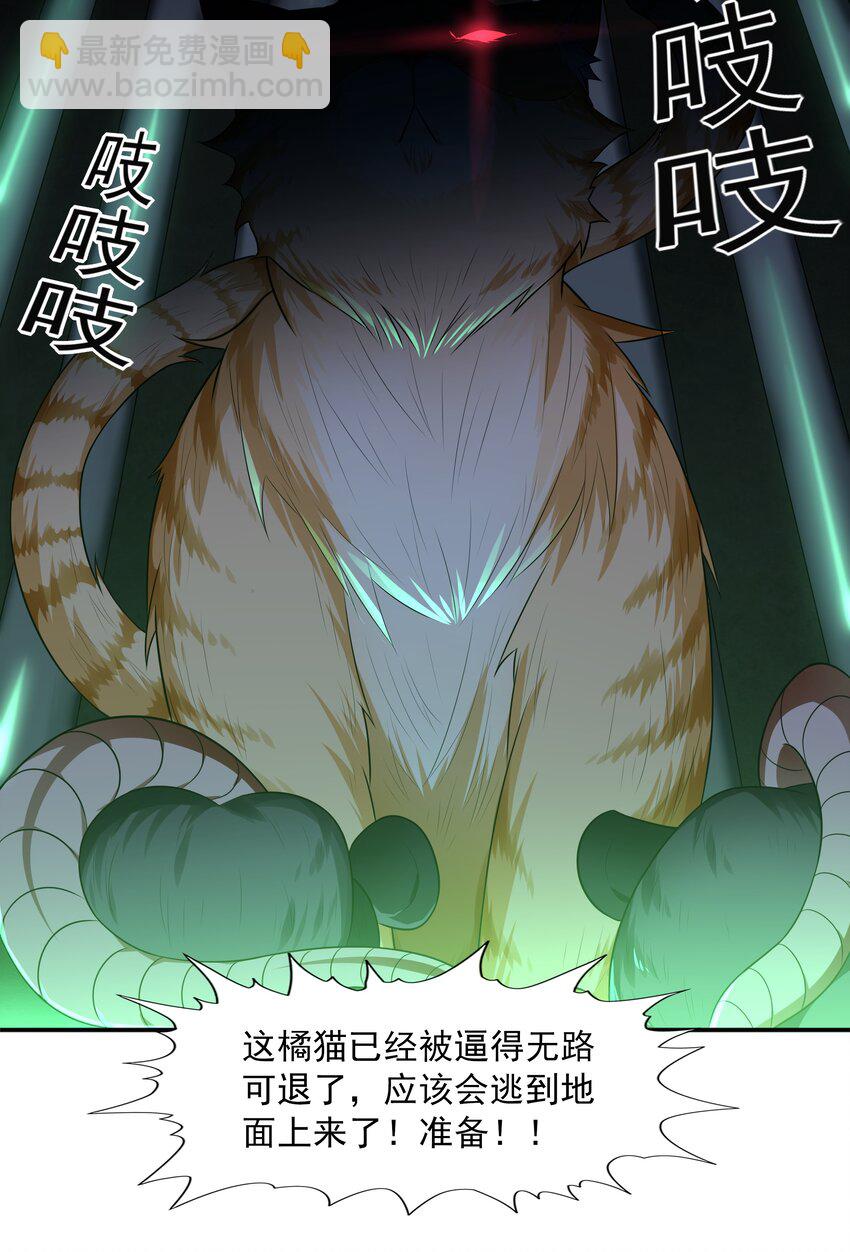 7 这猫真大(1/2)-第7话