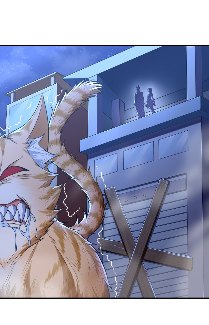 7 这猫真大(1/2)-第7话