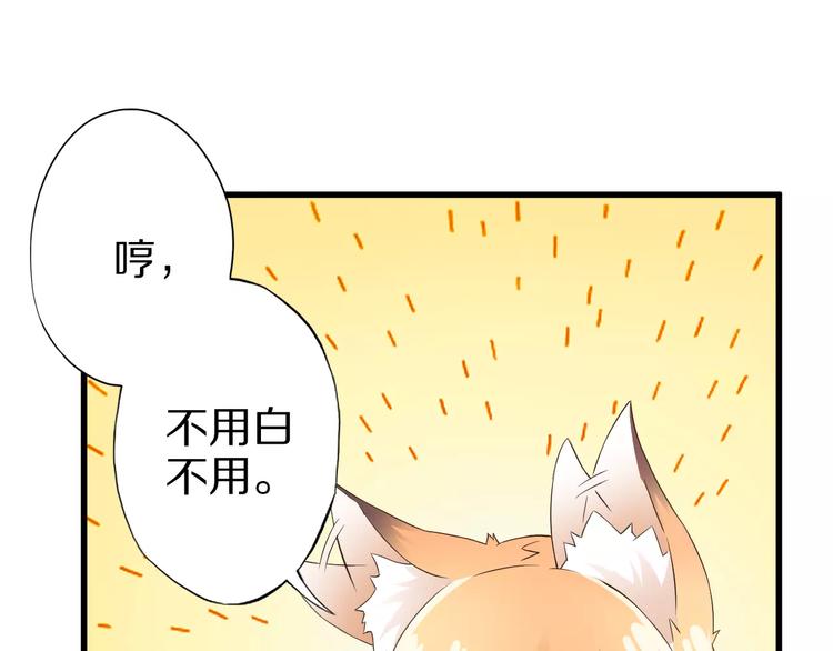 第11话 黑夜之狼(1/2)-第11话