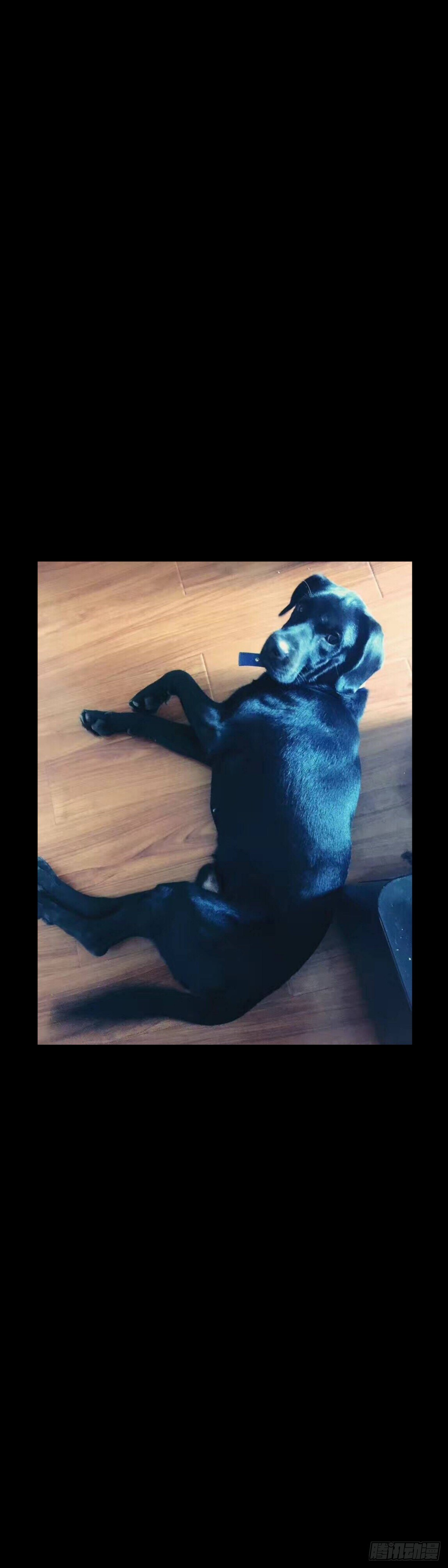 第13话 家宠-第13话