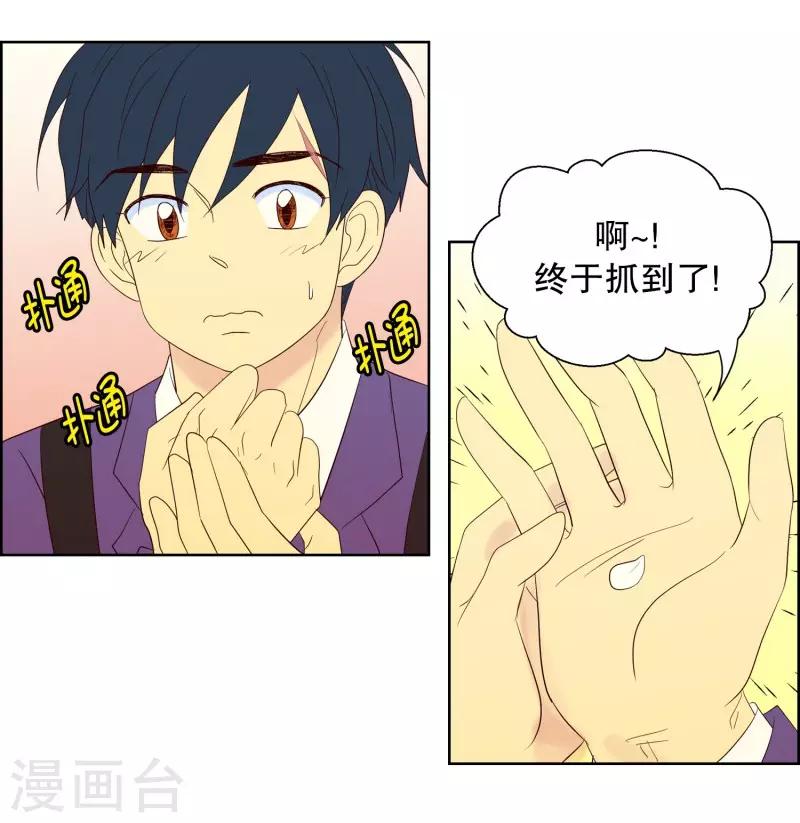 第77话 向花瓣许愿2-第77话