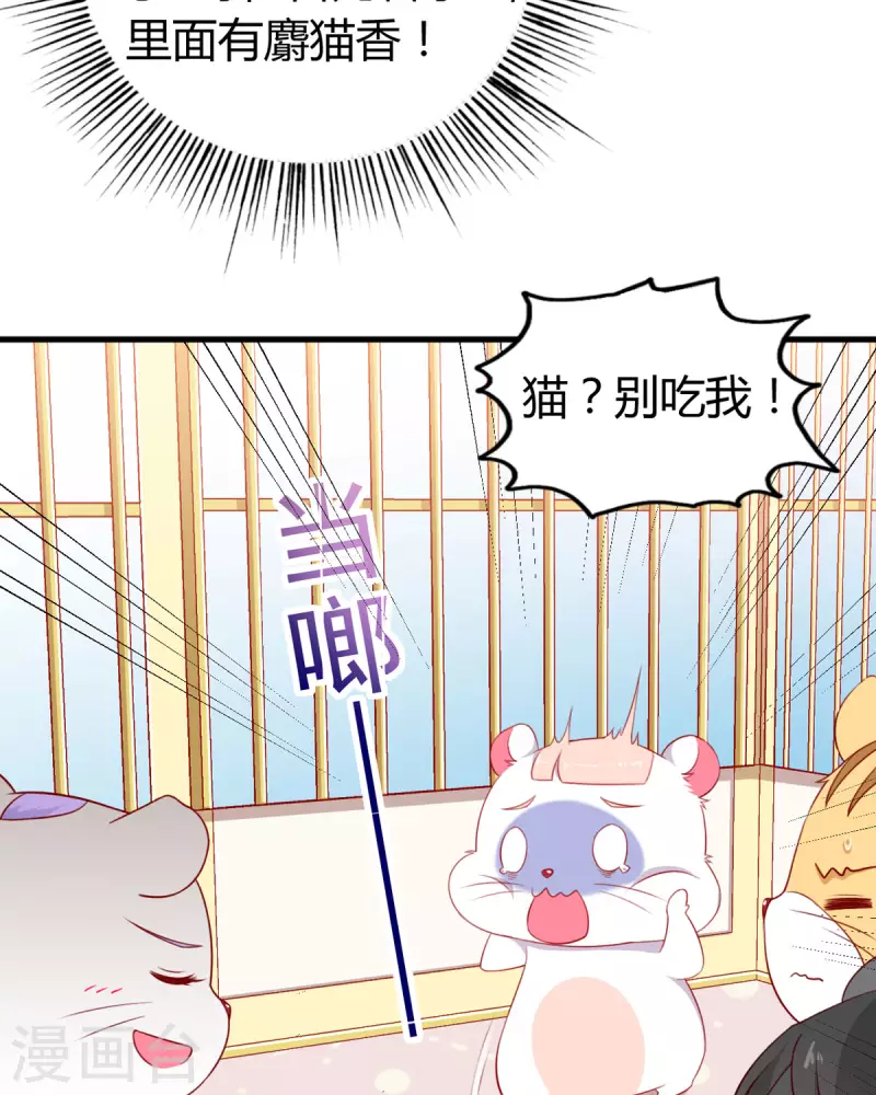 第8话 谁的裤腰带-第9话