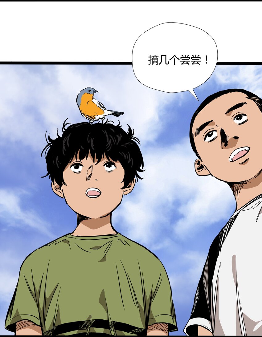 017 第十七话-第17话