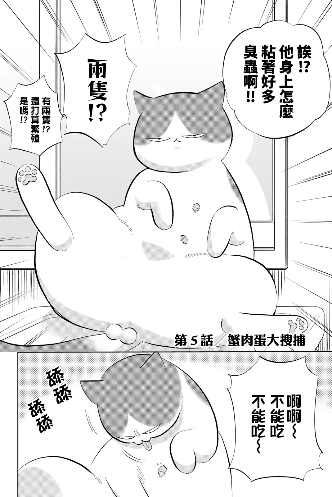 鑽石貓貓!!青道高中棒球部貓日誌 - 第5話 蟹肉蛋大搜捕 - 2