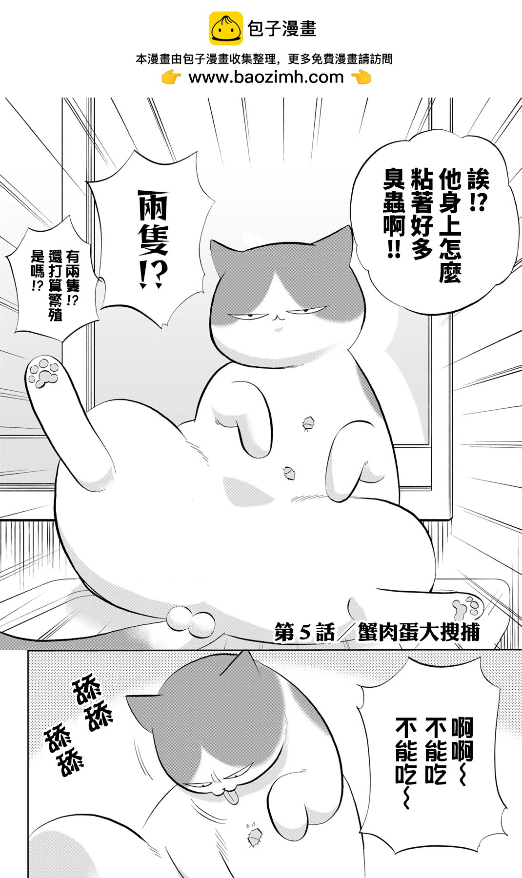 鑽石貓貓!!青道高中棒球部貓日誌 - 第05話 - 2