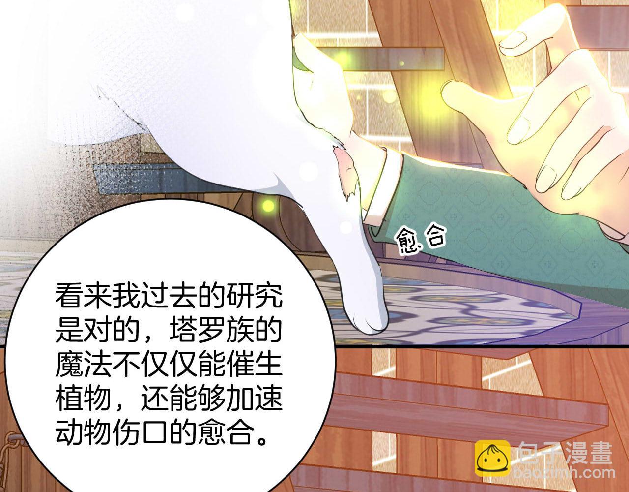 第16话 魔法的秘密(1/2)-第17话