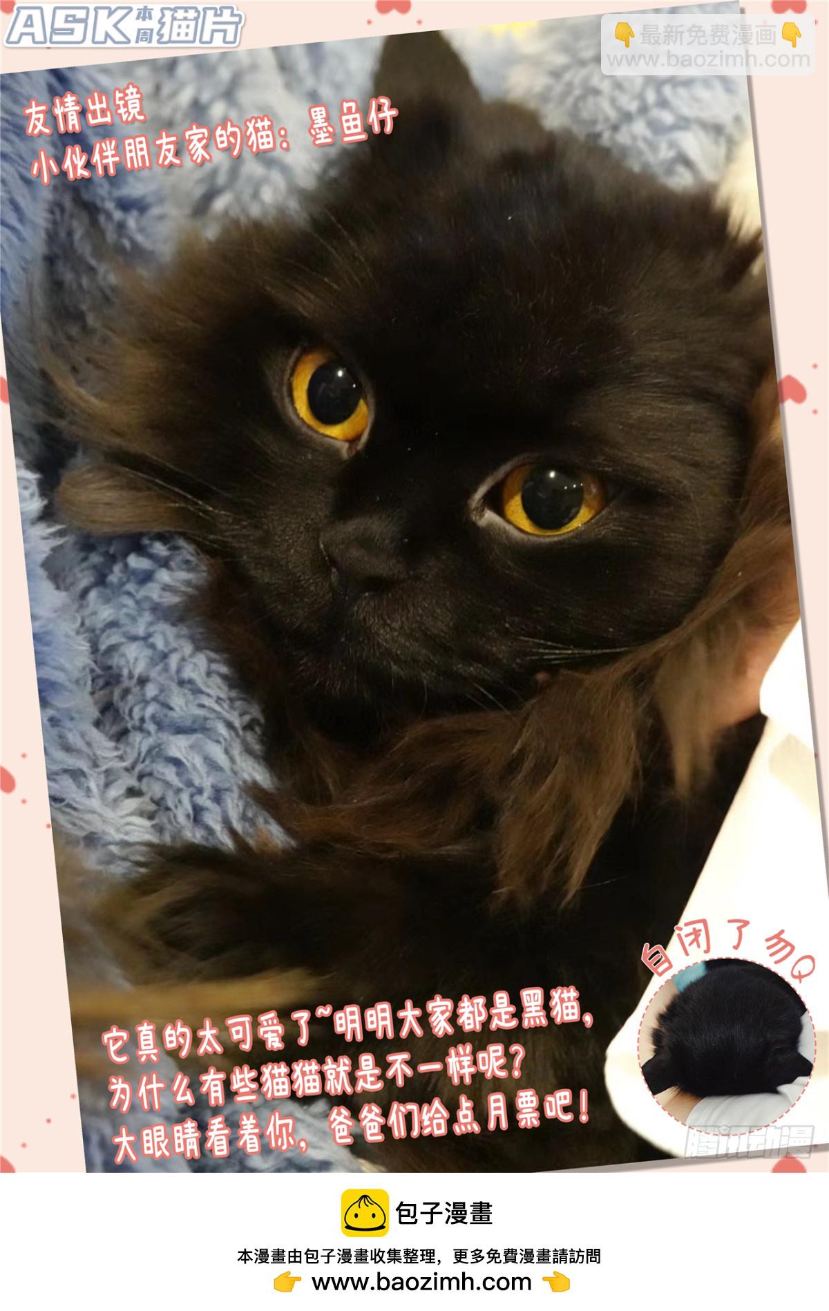 第二季 困兽之斗（11）-第303话