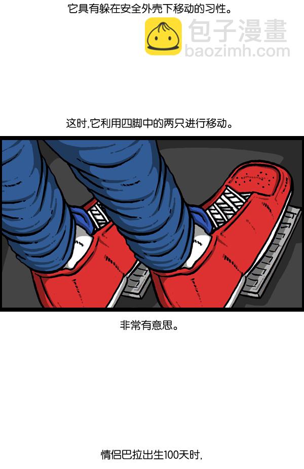 最快更新的心靈的聲音 - [第889話] 神秘動物綜述(1/2) - 1