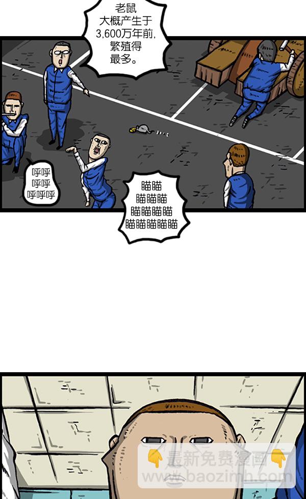 最快更新的心靈的聲音 - [第996話] 老鼠(1/2) - 2