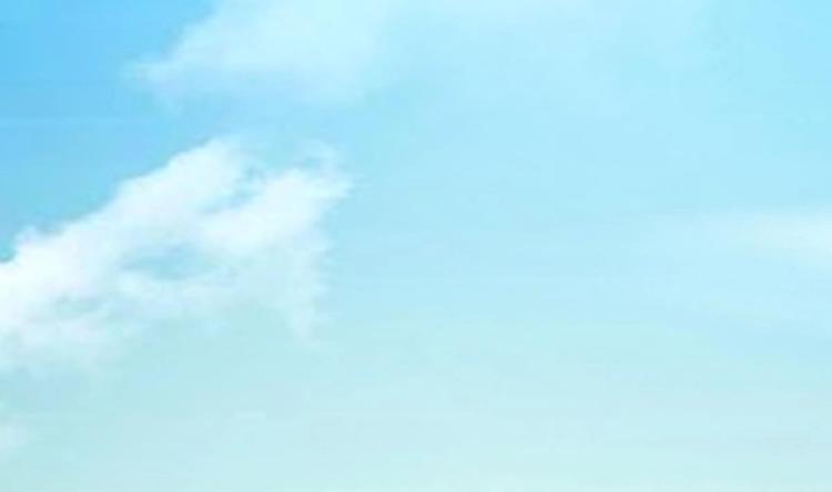 第40话 求求你打我吧(1/2)-第41话