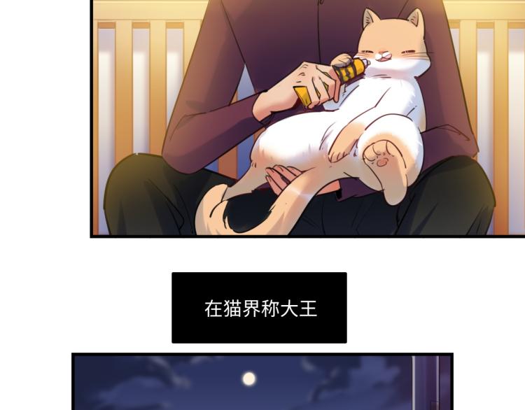 番外3  奇怪的人温暖的人(1/3)-第63话