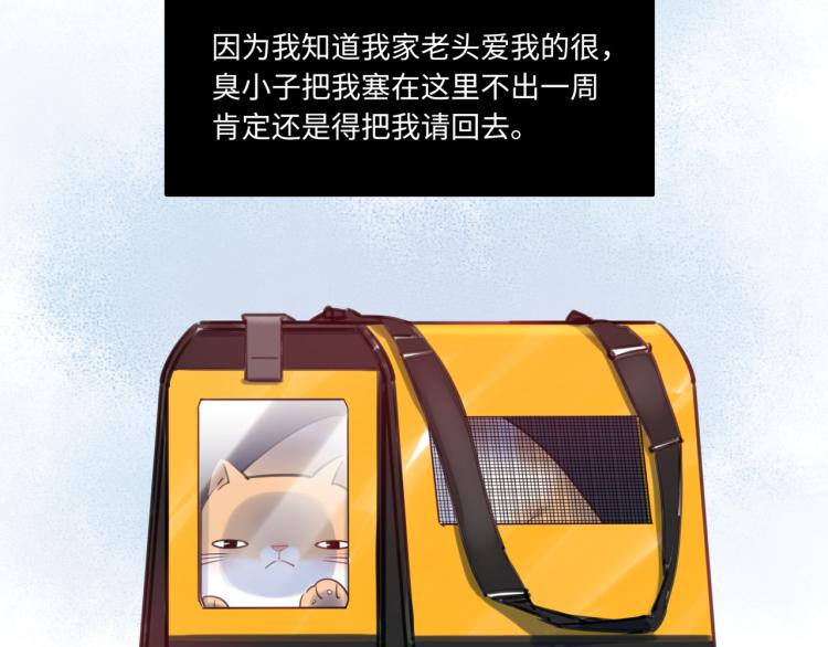 番外3  奇怪的人温暖的人(1/3)-第63话