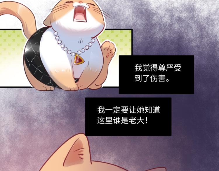 番外3  奇怪的人温暖的人(1/3)-第63话