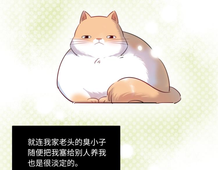 番外3  奇怪的人温暖的人(1/3)-第63话