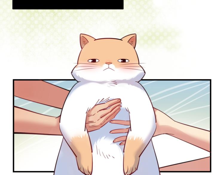 番外3  奇怪的人温暖的人(1/3)-第63话