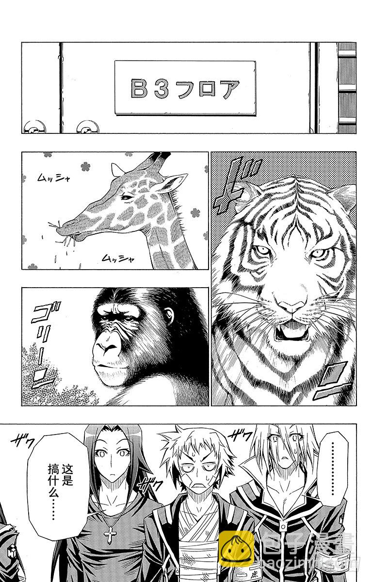 第37箱 抱歉，我要扯上关系了-第37话