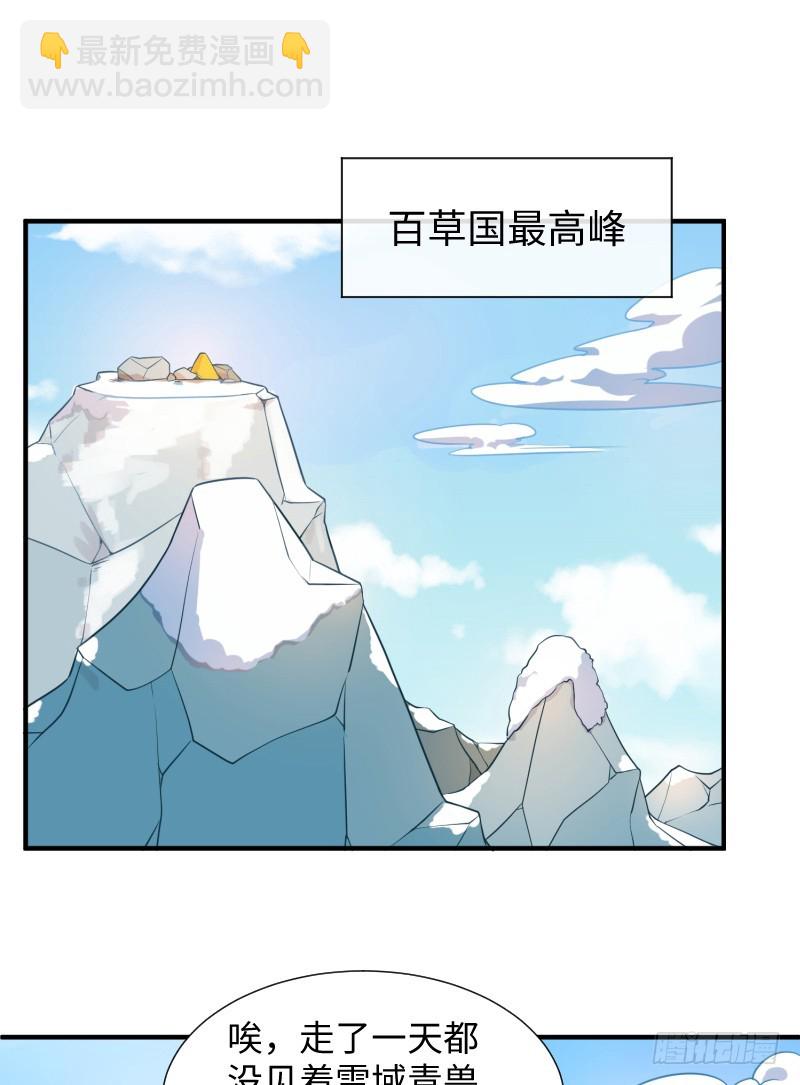 神秘百草国(1/2)-第15话