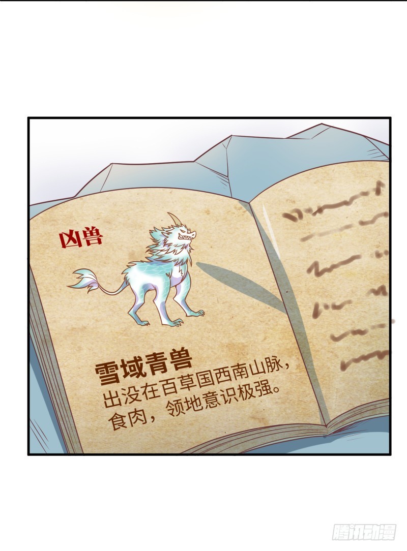 神秘百草国(1/2)-第15话