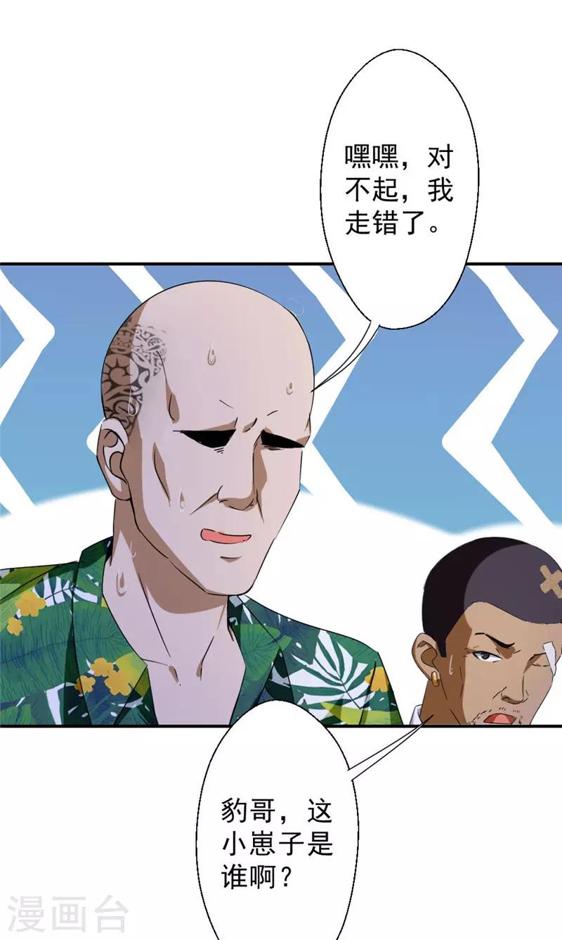 第217话 谁是你豹哥？-第217话