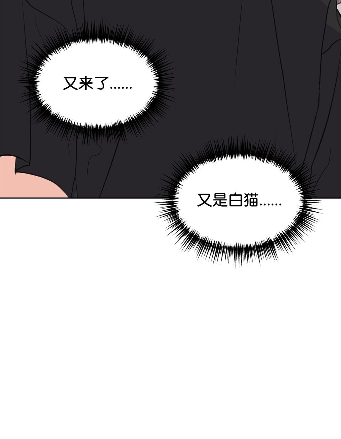 做我的鏟屎官吧! - 47 奇怪的朋友(1/2) - 5