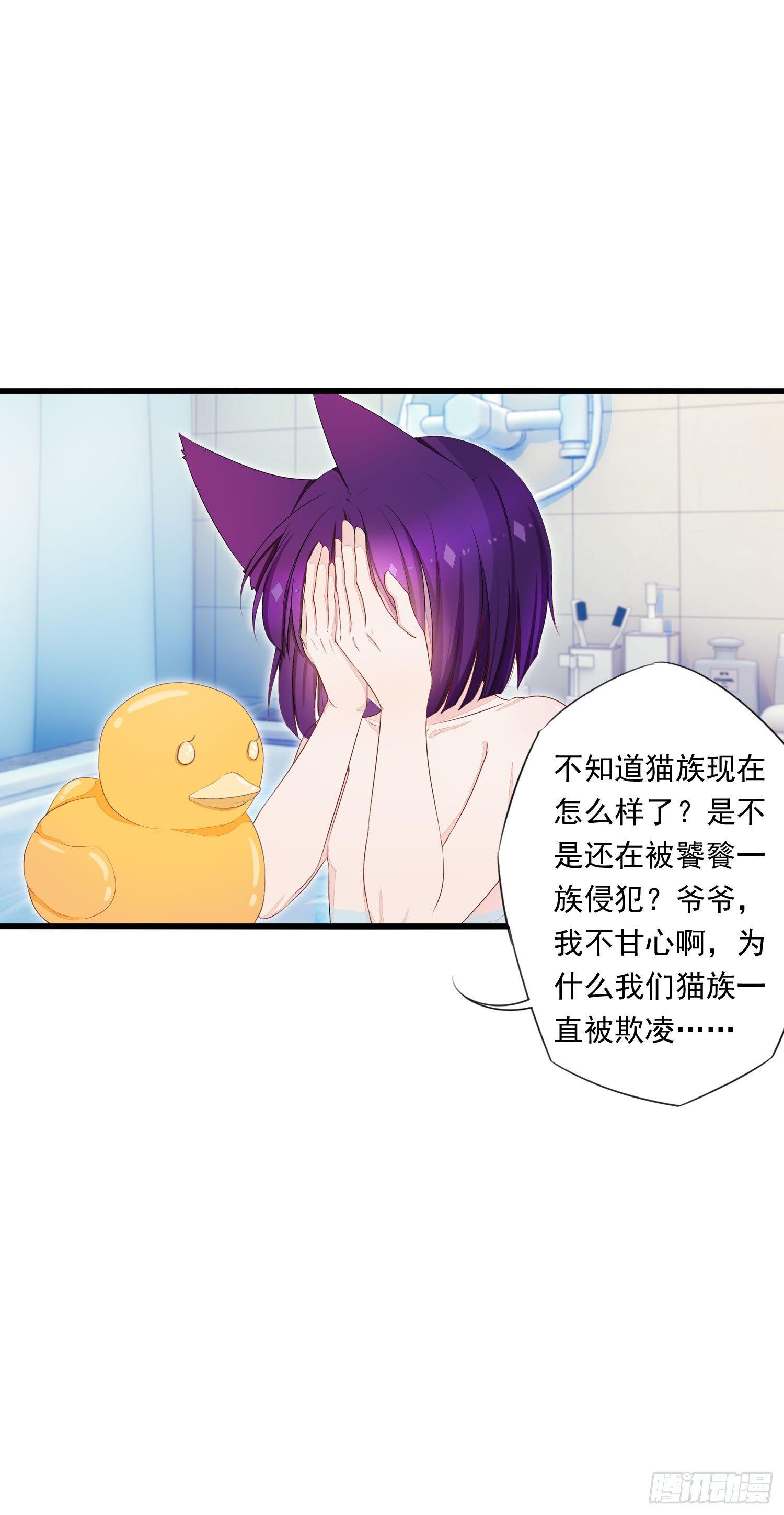 12 被看光了喵-第13话