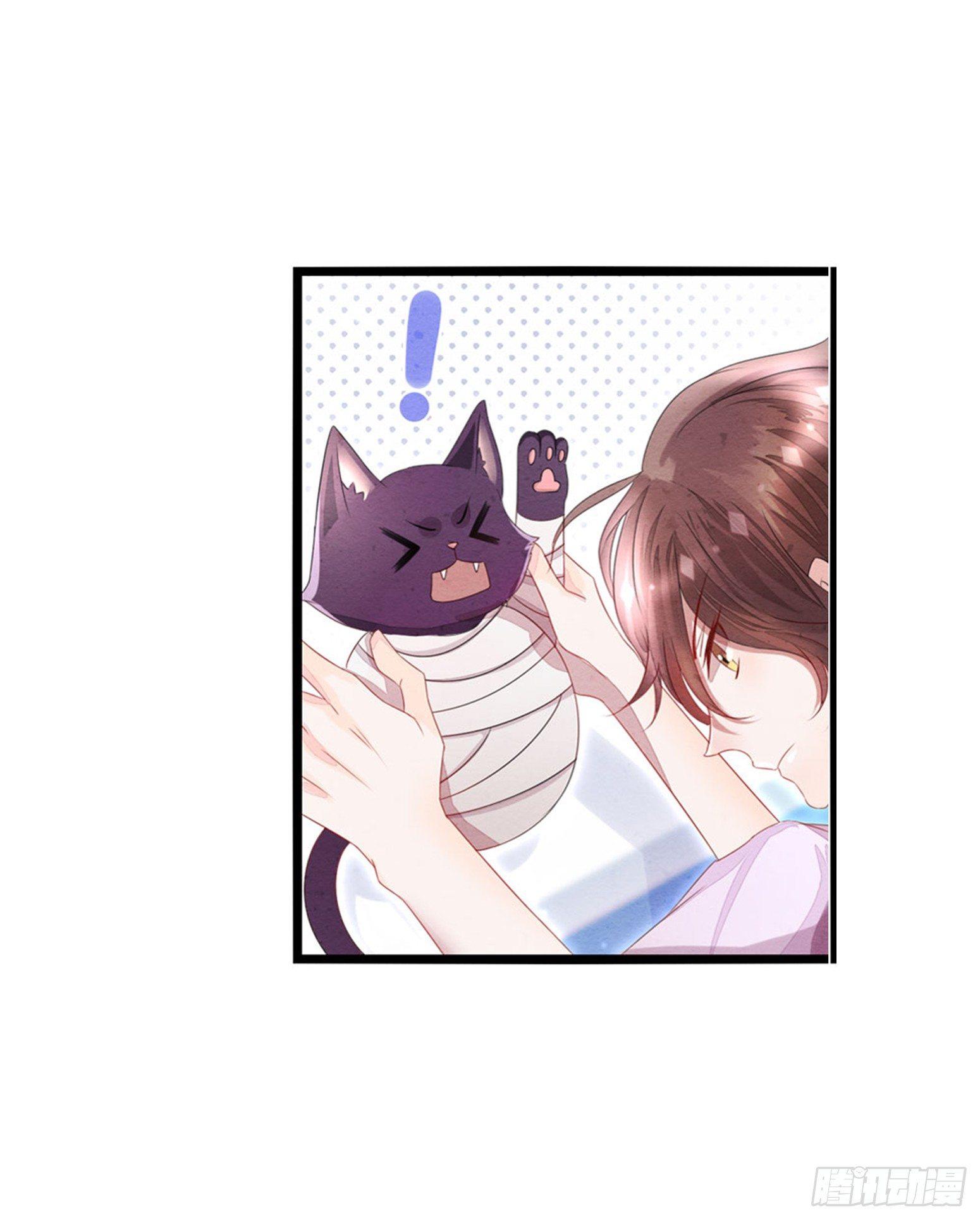 02 卖萌可耻但有用-第3话