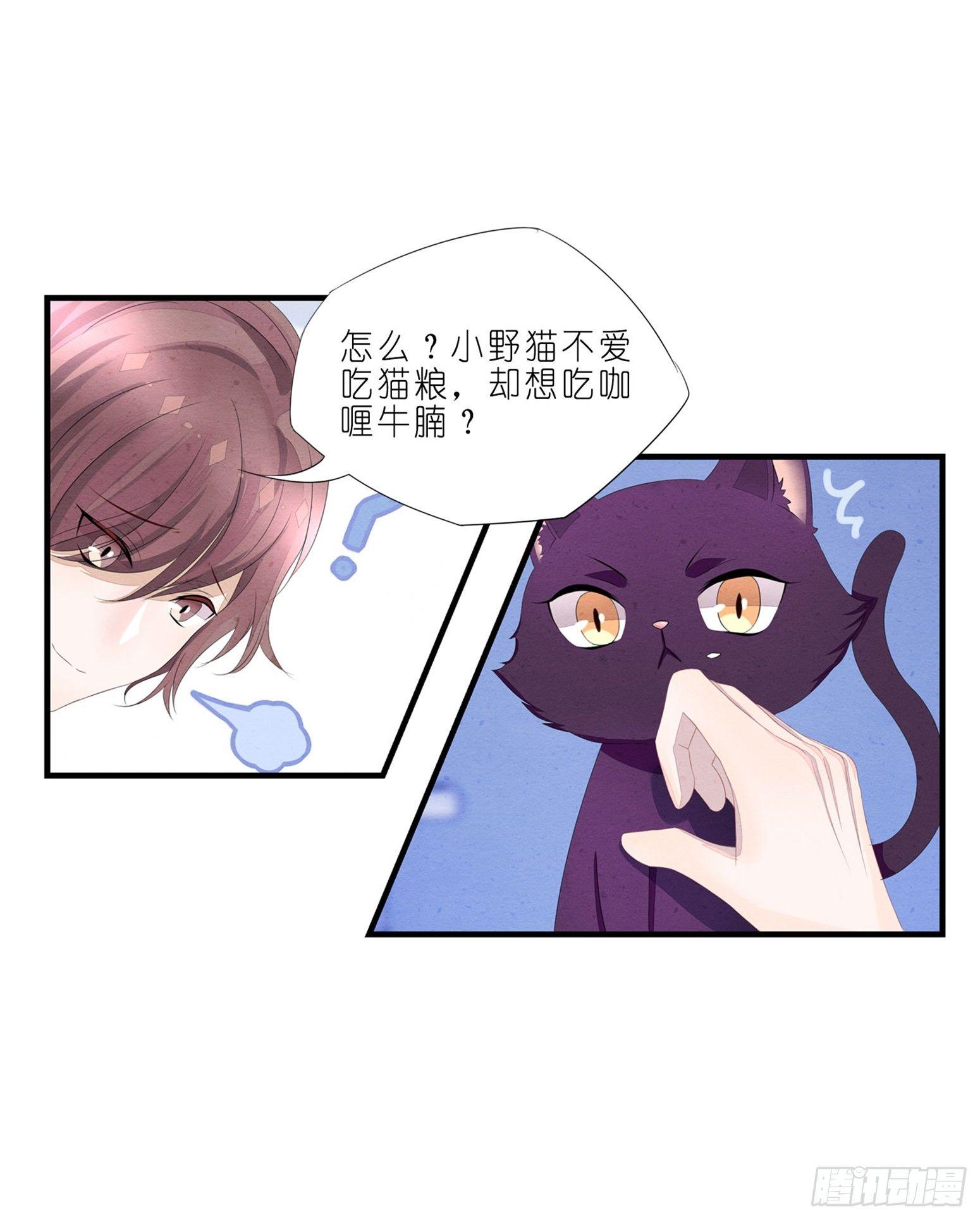 02 卖萌可耻但有用-第3话