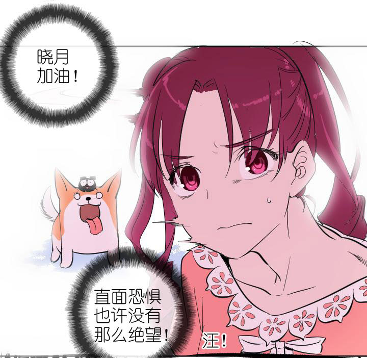 第226话(1/2)-第231话