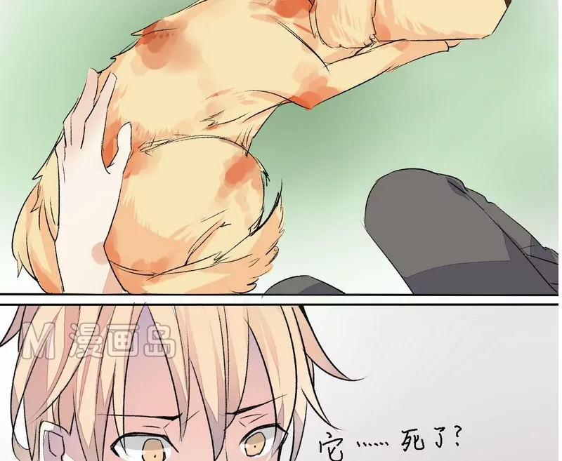 第9话 质问正杌+番外-第9话